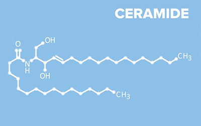 Crema-Gel Hidratantă SPF20 creată de brandul cosmetic Viorica are la bază o formulă activă cu ceramide vegetale. Descoperă beneficiile acestor compuși de origine naturală