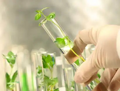 Natural vs Sintetic: ce alegi pentru pielea ta?